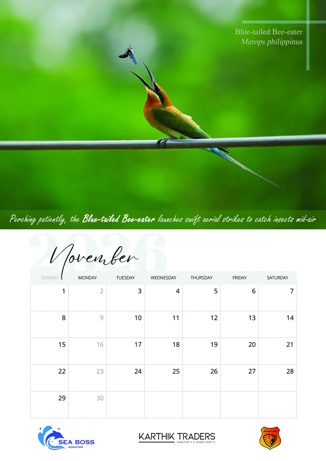 November